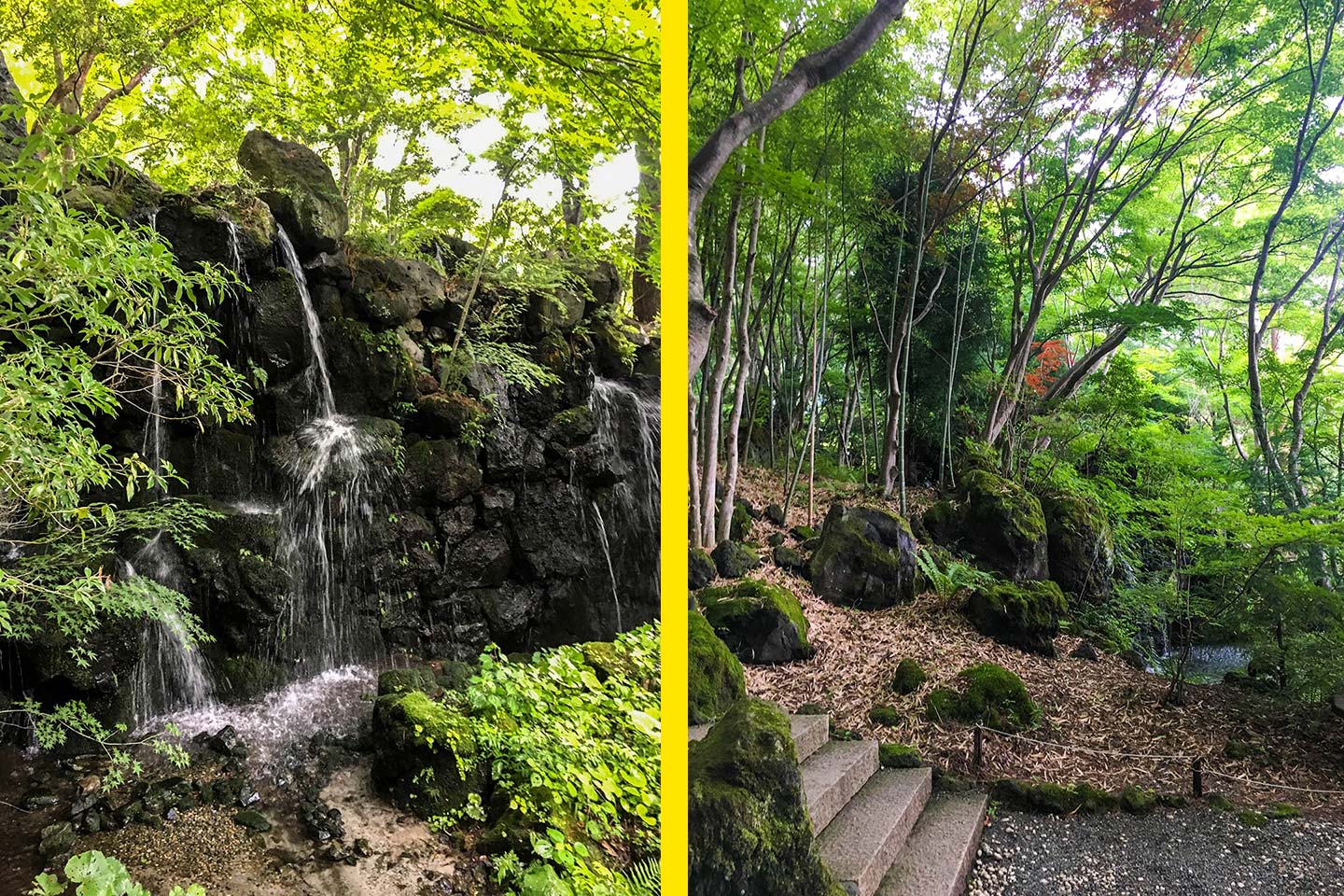 Waterfall and lush green forest on the grounds of  Itchiku Kubota kimono Museum