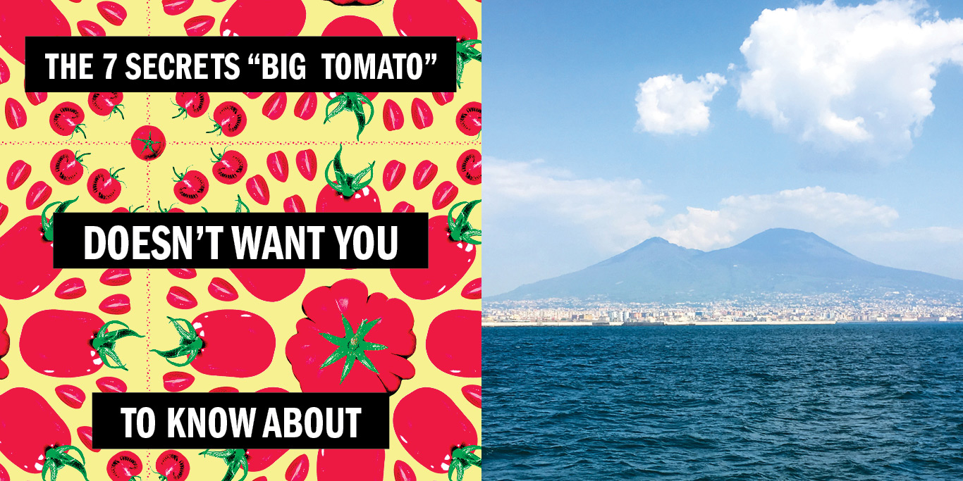 vintage print and pattern tomato illustration 