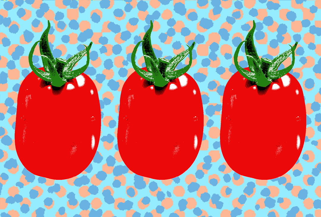 vintage style Roma tomato illustration